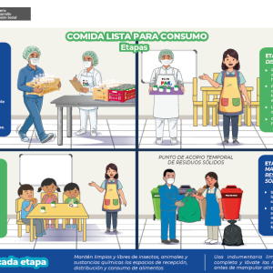 Comida Lista para Consumo – Etapas