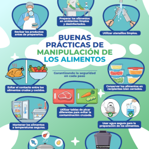 Buenas Prácticas de Manipulación